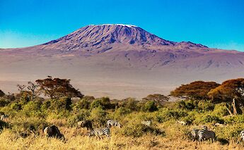 Blue skies above Mount Kilimanjaro, Tanzania. Stephan Bechert@iStock