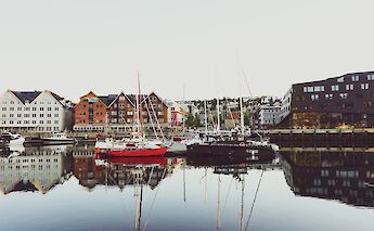 Docked, Tromso bay, Tromso, Norway. Green Ant@Unsplash