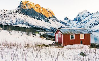 Red cabin on an Arctic Landscape, Tromso, Norway. Ludovic Charlet@Unsplash