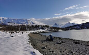 Belvika bay, Kvaloya, Norway. Harald Groven@Wikimedia Commons