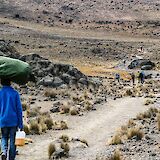 Trekking path to Mount Kilimanjaro, Kilimajaro, Tanzania. Tom Cleary@Unsplash