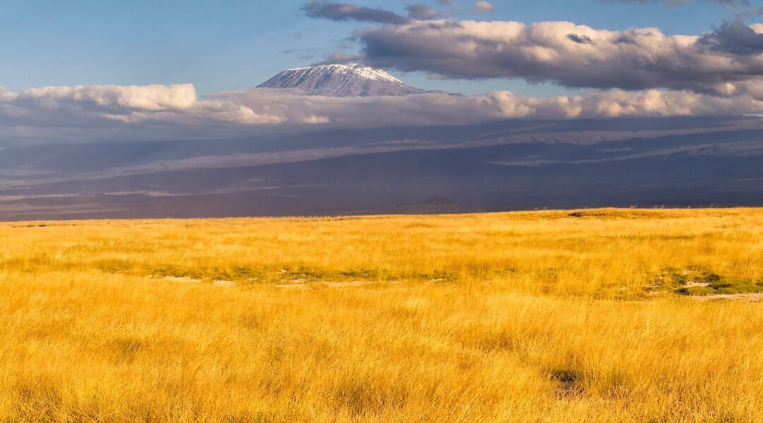 View from afar of the Kibo Summit, Kilimanjaro, Tanzania. Ray in Manila@Wikimedia Commons