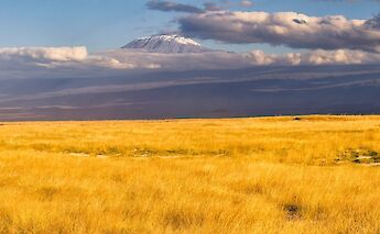 View from afar of the Kibo Summit, Kilimanjaro, Tanzania. Ray in Manila@Wikimedia Commons