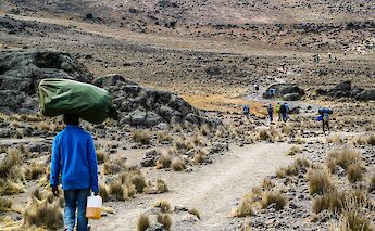 Trekking path to Mount Kilimanjaro, Kilimajaro, Tanzania. Tom Cleary@Unsplash