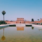 Palm tree and bushes by the pool of water in Marrakesh, Morocco. Abdelhamid Azoui@Unsplash