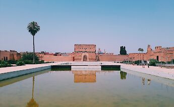 Palm tree and bushes by the pool of water in Marrakesh, Morocco. Abdelhamid Azoui@Unsplash