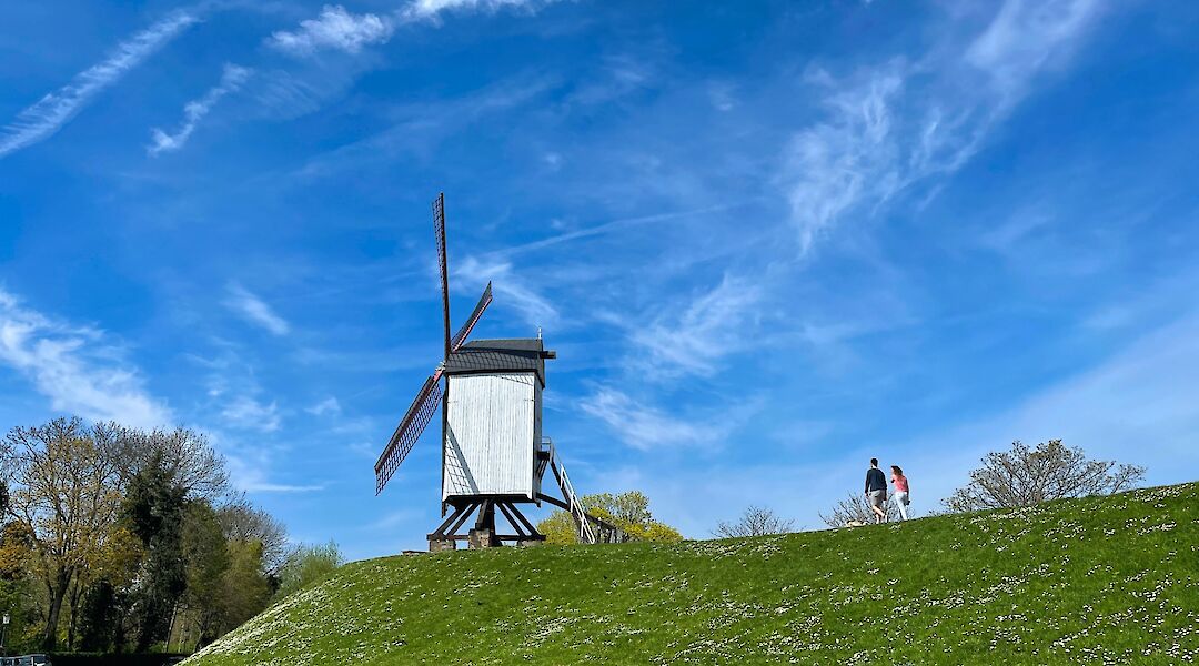 Small windmill in a field, Bruges, Belgium. Morgan Koh@Unsplash