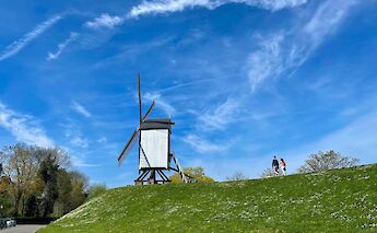 Small windmill in a field, Bruges, Belgium. Morgan Koh@Unsplash