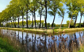 Canal in Damme, Belgium. THS D90@Flickr