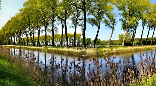 Bruges to Dutch Border Bike Tour, Bruges