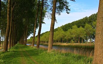 Damme, Belgium. Alain Rouiller@Flickr