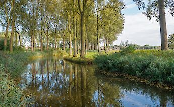 Damme, Belgium. Raoul Heremans@Flickr