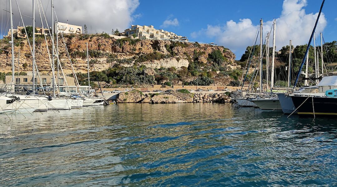 Yachts docked at the hardbor, Gozo, Malta. Andrew Abela@Unsplash