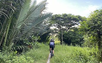 Countryside bike tour, Ho Chi Minh City, Vietnam.