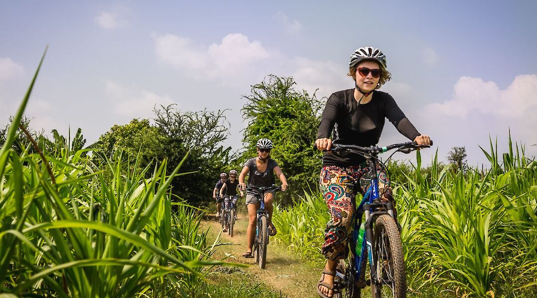 Mekong Delta Bike & Boat Tour. CC:TO