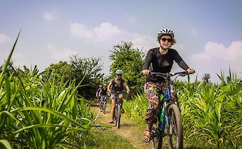 Mekong Delta Bike & Boat Tour. CC:TO