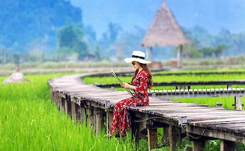 Sitting in the rice paddies, Mekong Delta, Vietnam. Getty Images@Unsplash