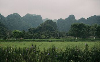 Hills beyond the rice paddies, Vietnam. Colin and Meg@Unsplash