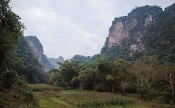 Mountains and trees around a rice field, Ho Chi Minh City, Vietnam. Micah Camper@Unsplash