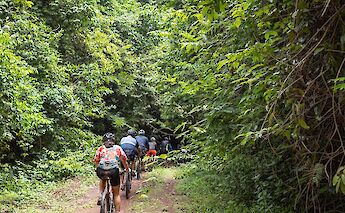 South Vietnam Jungle bike tour, Ho Chi Minh City, Vietnam.