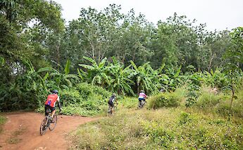 Riders cycling through a lush, tropical path in Vietnam.