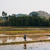 Farmer smiling while on the job at a rice paddy, Ho Chi Minh City, Vietnam. Pete Walls@Unsplash