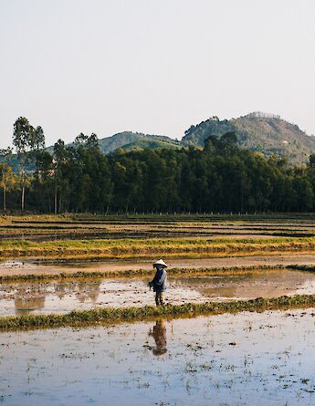 Farmer smiling while on the job at a rice paddy, Ho Chi Minh City, Vietnam. Pete Walls@Unsplash