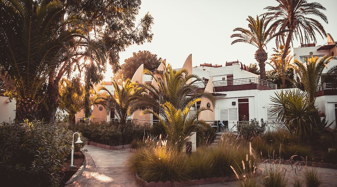 White buildings in Agadir, Morocco. Tim Arnold@Unsplash