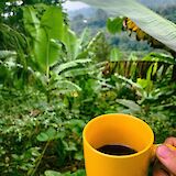 Materuni coffee fields. YWAM Orlando@Flickr