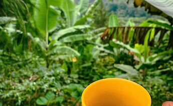 Materuni coffee fields. YWAM Orlando@Flickr