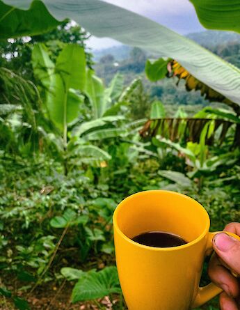 Materuni coffee fields. YWAM Orlando@Flickr