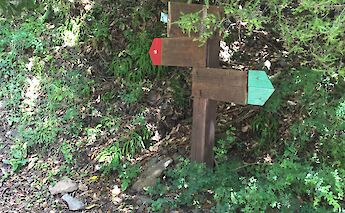 Road signs on Monte Pisano Road, Pisa. Alessiopiccioli@Wikimedia Commons