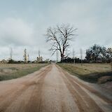 Trees without leaves at the end of a dirt road in Echuca and Moama City, Australia. Arun Clarke@Unsplash