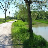Path along the water, at San Rossore park, Pisa, Italy. Taccolamat@Wikimedia Commons