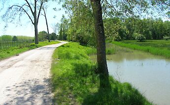 Path along the water, at San Rossore park, Pisa, Italy. Taccolamat@Wikimedia Commons