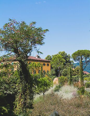 Tuscan countryside around Lucca, Italy. Unsplash:Heloise Delbos