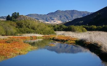 Morro Bay Estaury. Alan Schimierer@Wikimedia Commons