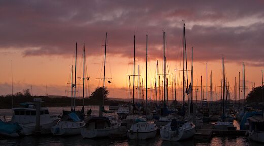 Morro Bay - State Park Marina at sunset. Mike Baird@Wikimedia Commons