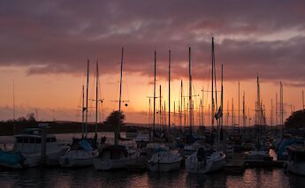 Morro Bay - State Park Marina at sunset. Mike Baird@Wikimedia Commons
