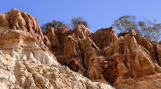 Solana Hills Trail, Solana Beach. Bailey L@Unsplash