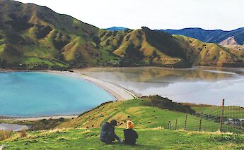 Cable Bay, New Zealand. Te Pania@Unsplash