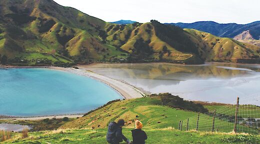 Cable Bay, New Zealand. Te Pania@Unsplash