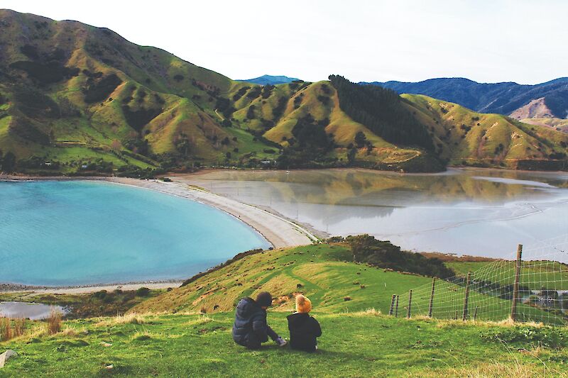 Cable Bay, New Zealand. Te Pania@Unsplash