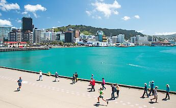 Wellington Harbor, New Zealand. Flickr: aschaf