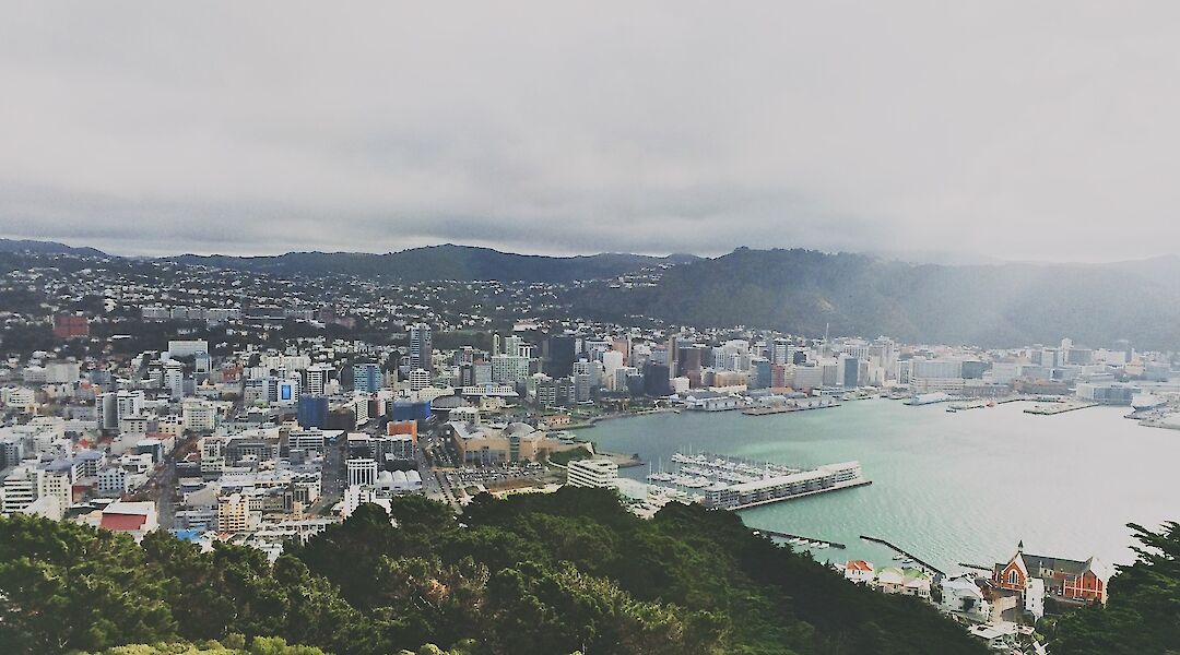 Buildings around greens, Wellington, New Zealand. Pat Ho@Unsplash