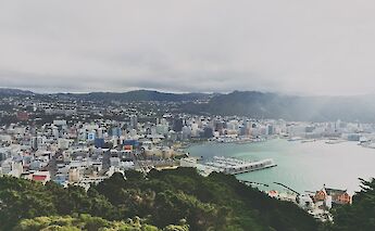 Buildings around greens, Wellington, New Zealand. Pat Ho@Unsplash