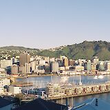 Bright sunny day at the Wellington Harbor, Wellington, New Zealand. Wolf Zimmermann@Unsplash