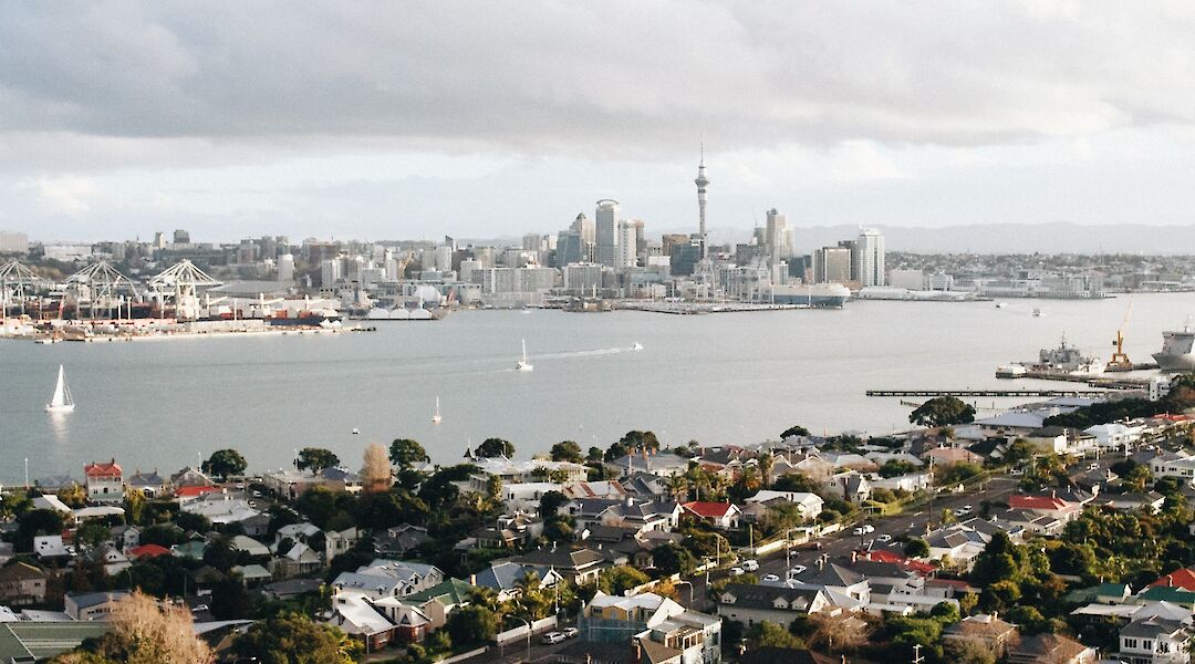 View from Mount Victoria Lookout in Wellington, New Zealand. Kirsten Drew@Unsplash