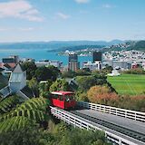 Cycle to the highlights of this captivating capital