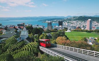 uphill tram in the middle of a beautiful landscape in Wellington, New Zealand. Joao Marcelo Martins@Unsplash